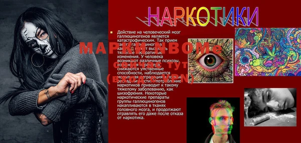 PSILOCYBIN Алзамай