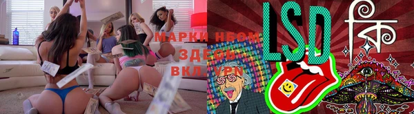 сатива Абдулино