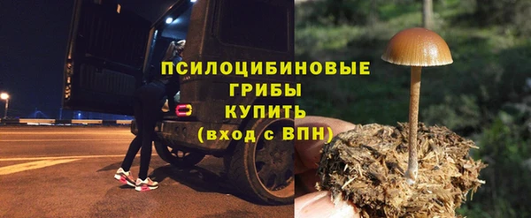 PSILOCYBIN Алзамай