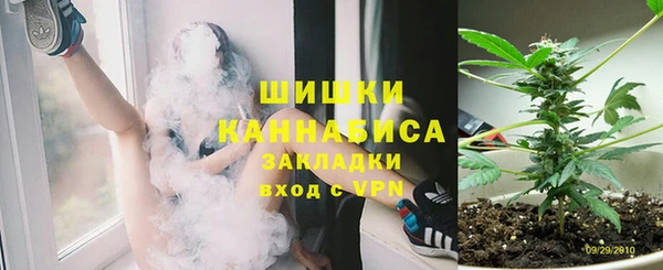 PSILOCYBIN Алзамай