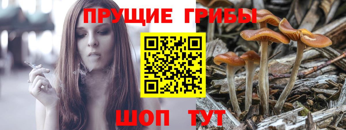 Псилоцибиновые грибы ЛСД  Вход с VPN  купить наркоту  Галлюциногенные грибы MAGIC MUSHROOMS  Красноуфимск 
